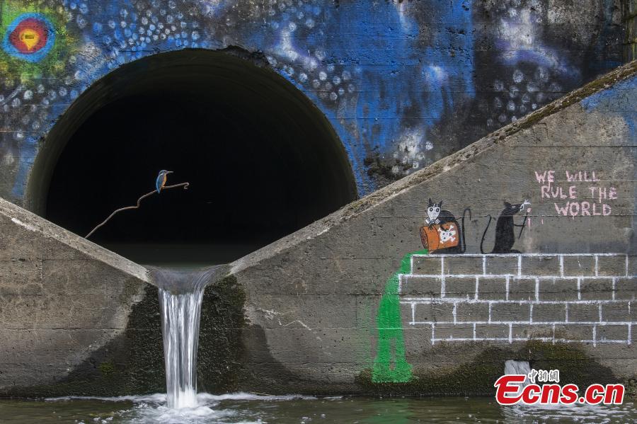En la categoría del hombre y la naturaleza, Felix Heintzenberg, de Suecia, fue finalista del Concurso Fotográfico Europeo de Vida Silvestre 2018 con su foto "Mundos apartes". (Foto: Agencias)