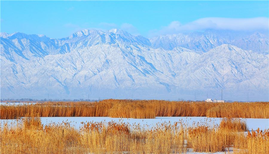 Espectaculares paisajes en el Lago de Arena en Ningxia