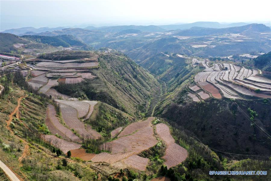 Henan: Campos en terrazas en Sanmenxia