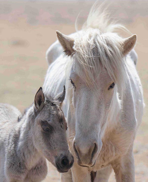 [Foto: Chen Jian/China Daily]