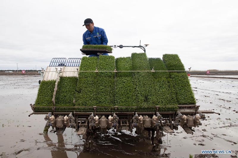 Sistema de Navegación por Satélite ayuda a desarrollar la agricultura inteligente en China