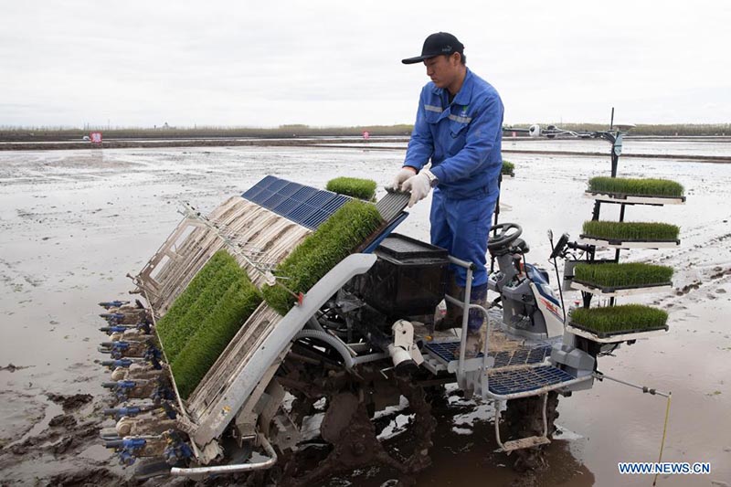 Sistema de Navegación por Satélite ayuda a desarrollar la agricultura inteligente en China
