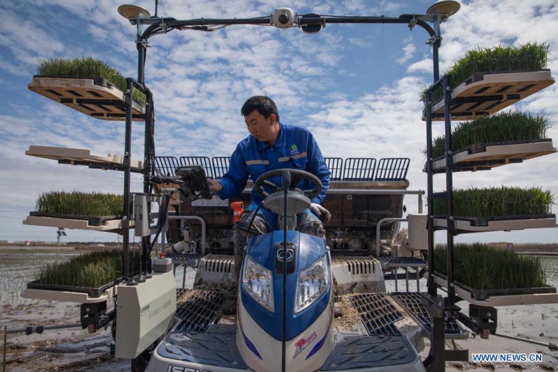 Sistema de Navegación por Satélite ayuda a desarrollar la agricultura inteligente en China