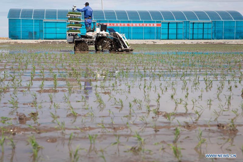 Sistema de Navegación por Satélite ayuda a desarrollar la agricultura inteligente en China