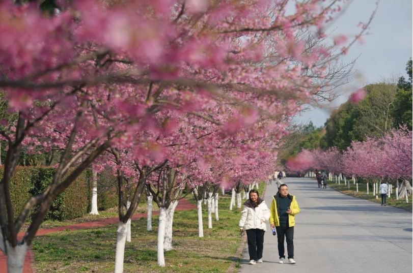 Turistas visitan el área escénica de la monta?a Longhu en Yingtan, en la provincia oriental china de Jiangxi, el 6 de marzo de 2025. (Xinhua/Wan Xiang)