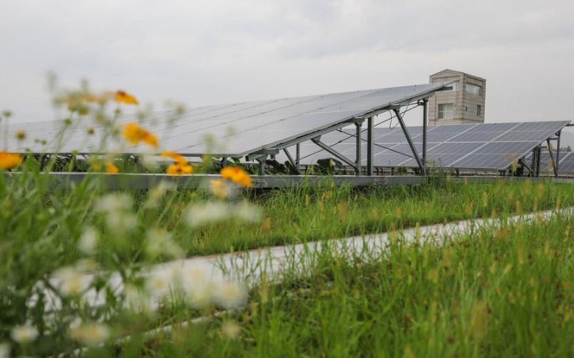 Esta foto del 28 de junio de 2024 muestra paneles fotovoltaicos en el tejado de un taller en el valle medicinal de Jiangzhong, en Nanchang, capital de la provincia oriental china de Jiangxi. (Xinhua/Du Xiaoyi)