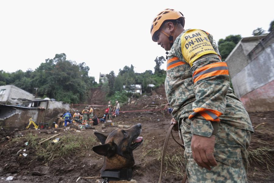 Un elemento del Ejército mexicano y un binomio canino se preparan para realizar trabajos de búsqueda en una zona de un deslizamiento de tierra causado por las lluvias, en Huauchinango, en el estado de Puebla, México, el 13 de octubre de 2025. (Xinhua/Francisco Ca?edo) 