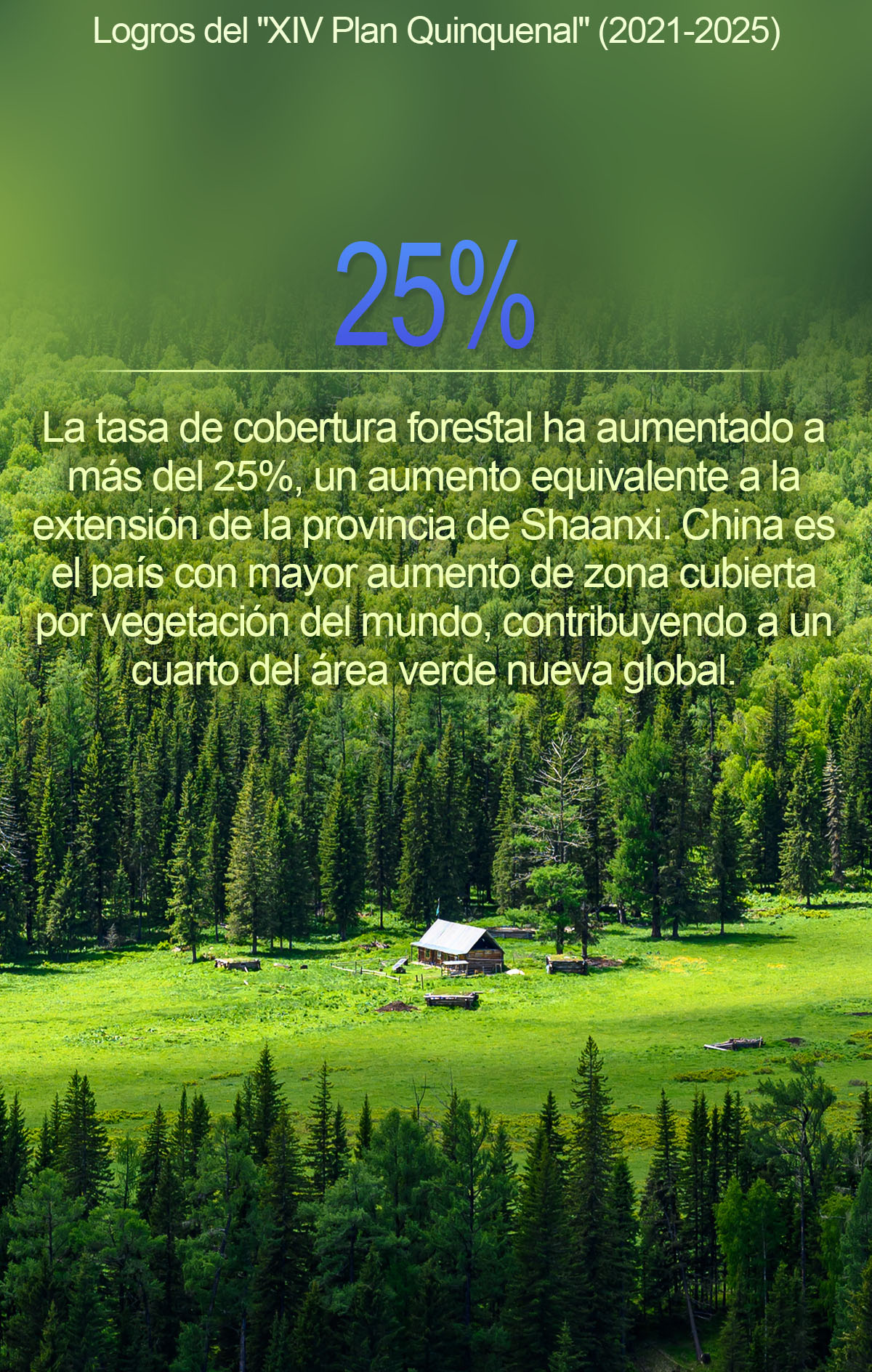 Período del Plan Quinquenal XIV: un conjunto de cifras alentadoras