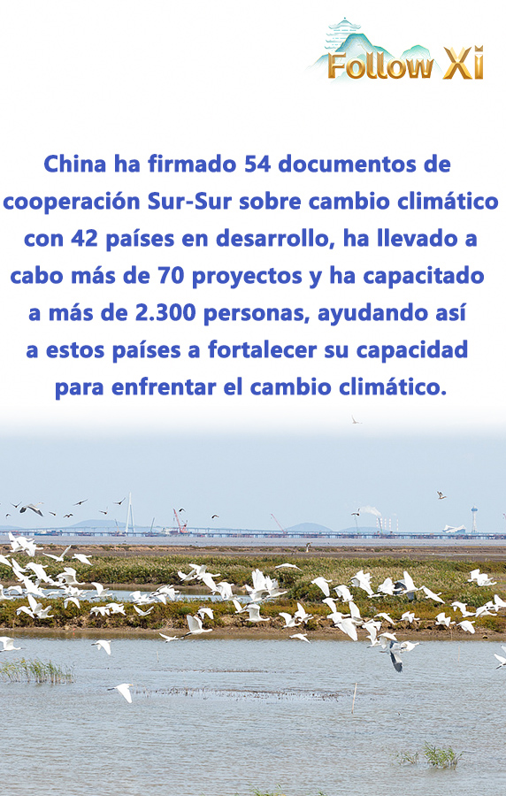 Póster: Construyendo un nuevo paradigma sostenible para la región de Asia-Pacífico