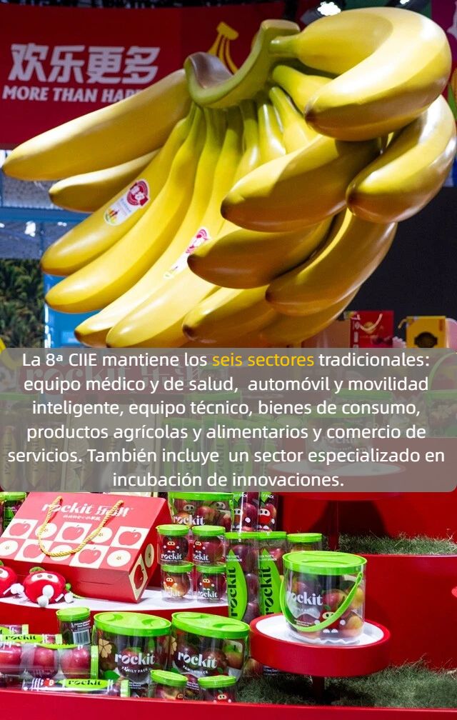 Nuevo récord de escala: 9 puntos destacados de la 8a CIIE