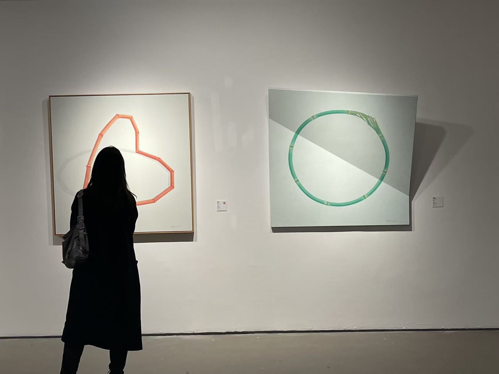 El Today Art Museum de Beijing acoge “Encrucijadas: un encuentro entre artistas y coleccionistas de China y Espa?a”